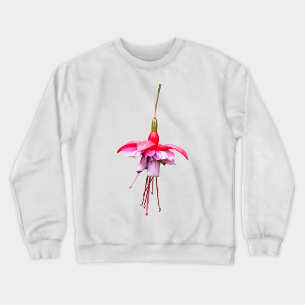 Pink Fuchsia Crewneck Sweatshirt by Shirasaya